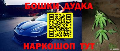 МДПВ Долгопрудный