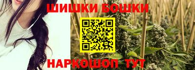 МДПВ Долгопрудный