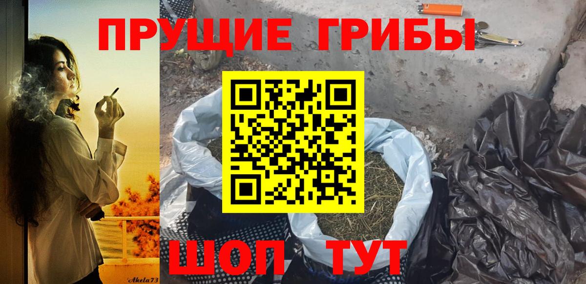 Псилоцибиновые грибы Cubensis  Вход с VPN  Батайск 